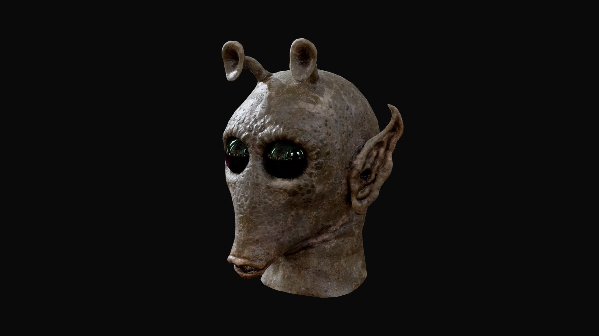 Sculpted in Blender, retopo in Maya, textured in Substance Painter. I wanted to make a Rodian character that wasn't an exact copy of Greedo. Very happy with the result!

Note: this model is not rigged, what you see in sketchfab is what you get. I recommend re-sizing and adding a bit of subsurface scattering to get just a touch of pink in the antenna, ears, and lips - here is an example render

(It does not have a mowhawk like Greedo, but a bald rodian shows up in Solo, The Mandalorian, and The Book of Boba Fett, so this design is still canon!) - Star Wars Rodian character Head - Buy Royalty Free 3D model by Robear (@xiaorobear) 3d model