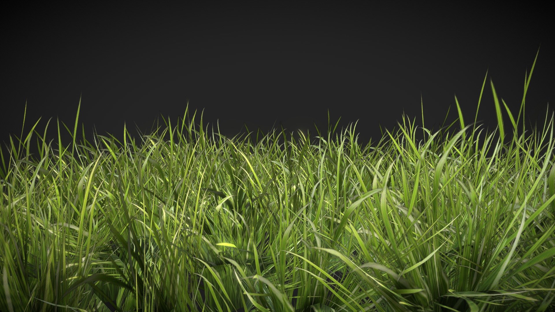 LowPoly GameReady realistic 3D Grass best for games in Unreal,Unity. Fast Lightweight Performance 920 polygons total 3d model