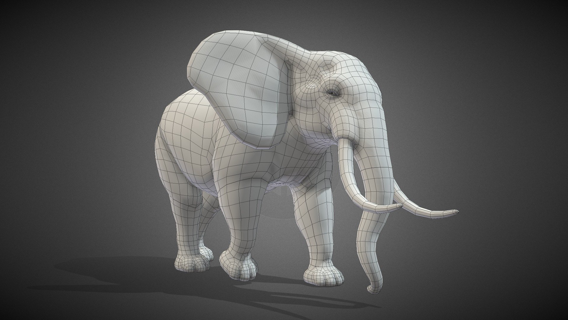 A advanced quadruped rigged clean topology elephant base mesh to help increase your productivity! 
A good base mesh allows you to save time with foundation of any good sculpt, good proportions, clean topology and clean paint weight.

Update Log:




Fix elephant nose rig when can't reset pose with Alt+R

Features:




Full rigged for Blender

Clean topology

100% Quad polygon

Subdivision ready

Low polygon count(Faces:4,634 | Tris:9,220 | Verts:4,634)

Not Include:




UV Unwrapped

Texture
 - Elephant Base Mesh - Buy Royalty Free 3D model by menglow 3d model
