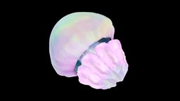 Jellyfish_003 medusa, blender