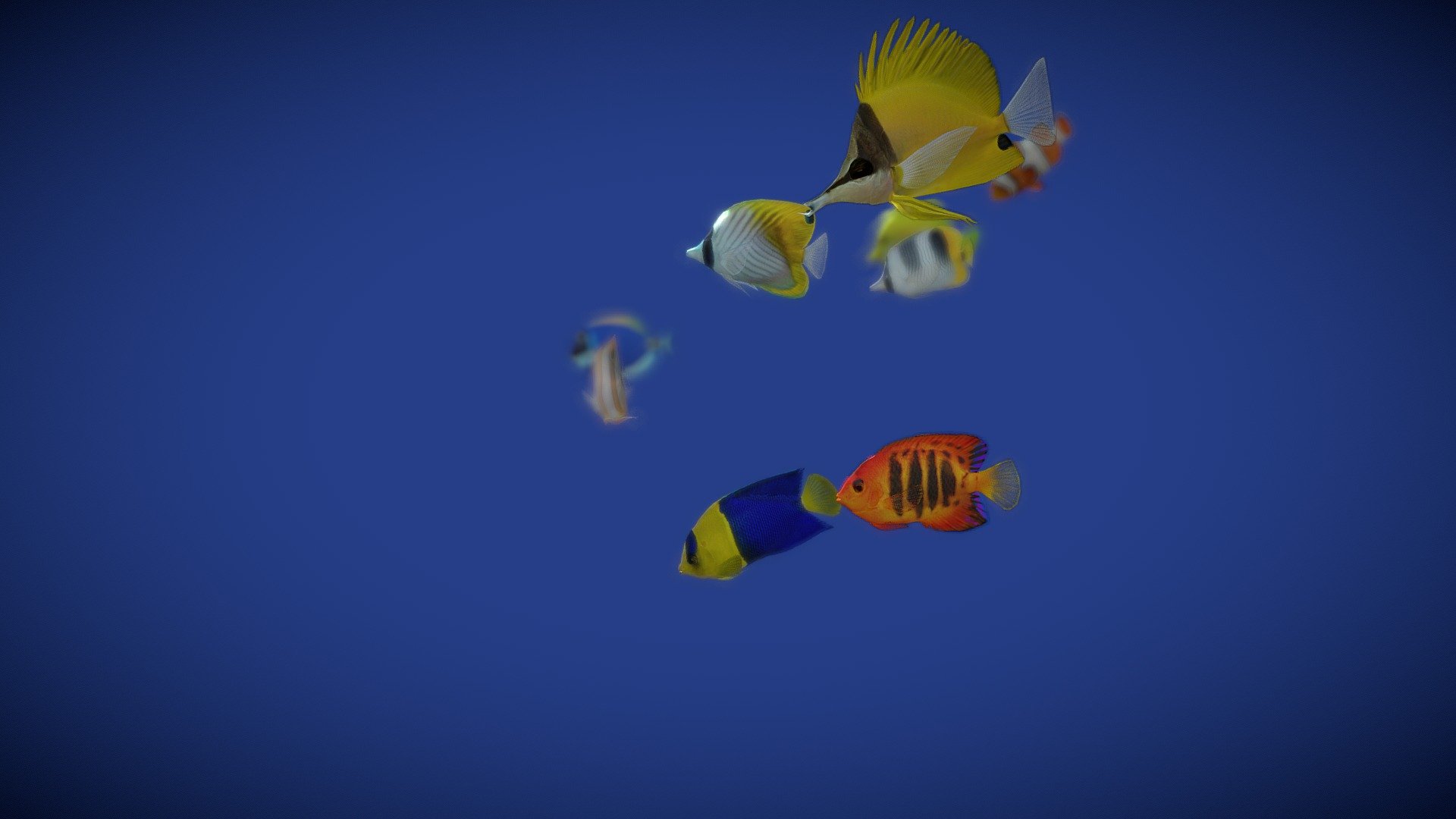 Before purchasing this model, you can free download Emperor Angelfish and try to import it. 



Schooling 9 Fish animated.

Loop animation (50 sec.)

1. Bicolor Angelfish

2. Clownfish

3. Copperband

4. Double Saddle

5. Flame Angelfish

6. Powder Blue Tang

7. Threadfin Butterflyfish

8. Yellow Longnose 

9. Yellow Tang



Dear Blender Users If you have any problems importing into a Blender, please email me, this problem is solved 3d model