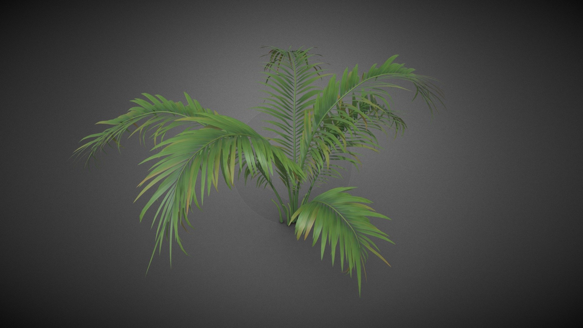 Ferns flower shrub - Ferns flower shrub - Buy Royalty Free 3D model by misitewang 3d model