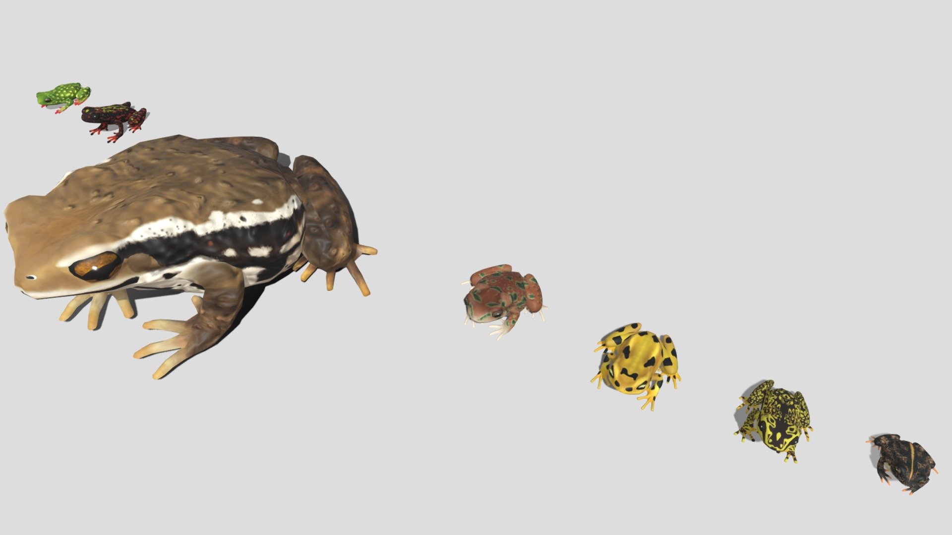 7 kinds of toad (the genus Bufo)




和 オークヒキガエル / 英 Oak Toad / 学 Anaxyrus quercicus

和モンキフキヤヒキガエル / 英 Veragua Stubfoot Toad  / 学 Atelopus cruciger

和ゼテクフキヤヒキガエル / 英 Panamanian Golden Frog  / 学 Atelopus zeteki

和モロッコヒキガエル / 英 Brongersma's Toad  / 学 Barbarophryne

和ニホンヒキガエル / 英 Japanese Toad  / 学 Bufo japonicus

和チシブキホソヒキガエル / 英 Bleeding Toad / 学 Leptophryne cruentata

和アカハラクロヒキガエル / 英 Red-belly Toad  / 学 Melanophryniscus admirabilis
 - 7 kinds of toad - 3D model by Mozukui (@redfrogman) 3d model