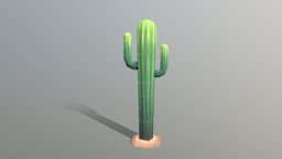 Low Poly Cactus plant, cactus, desert, maya, photoshop, lowpoly