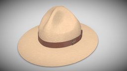 Campaign Hat(RCMP)💮📷 hat, canada, rcmp, vrchat, mountie, vroid, vroidstudio, campaign-hat