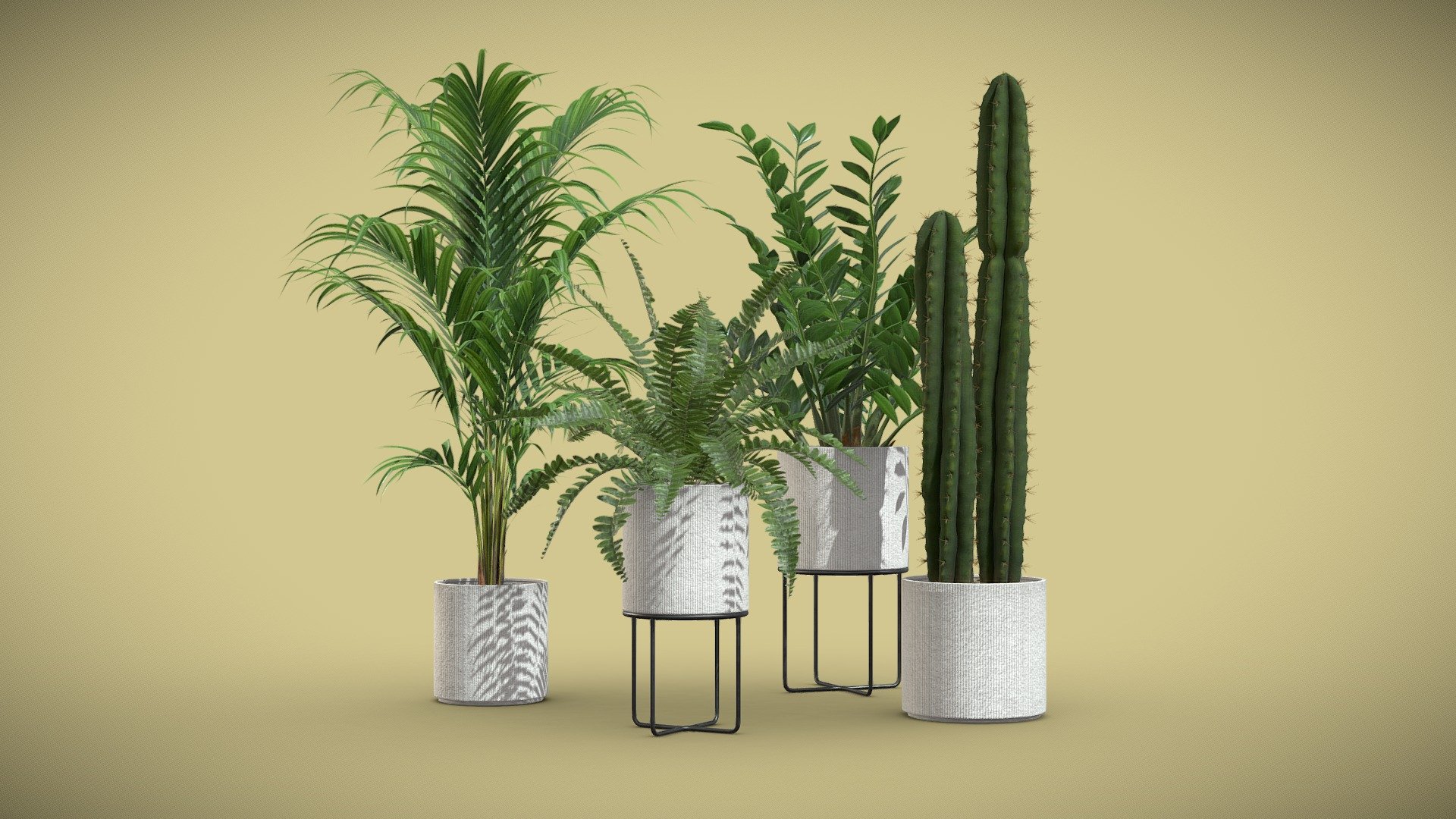 Indoor Plants Pack 56

This selection of indoor exotic plants will provide a level of detail that will take your visualizations to the next level.

Models can be subdivided for more definition.




Zamioculcas Zamiifolia

Majesty Palm

Boston Fern

Saguaro Cactus

4k Textures




Vertices  155 095

Polygons  119 404

Triangles 238 576
 - Indoor Plants Pack 56 - Buy Royalty Free 3D model by AllQuad 3d model