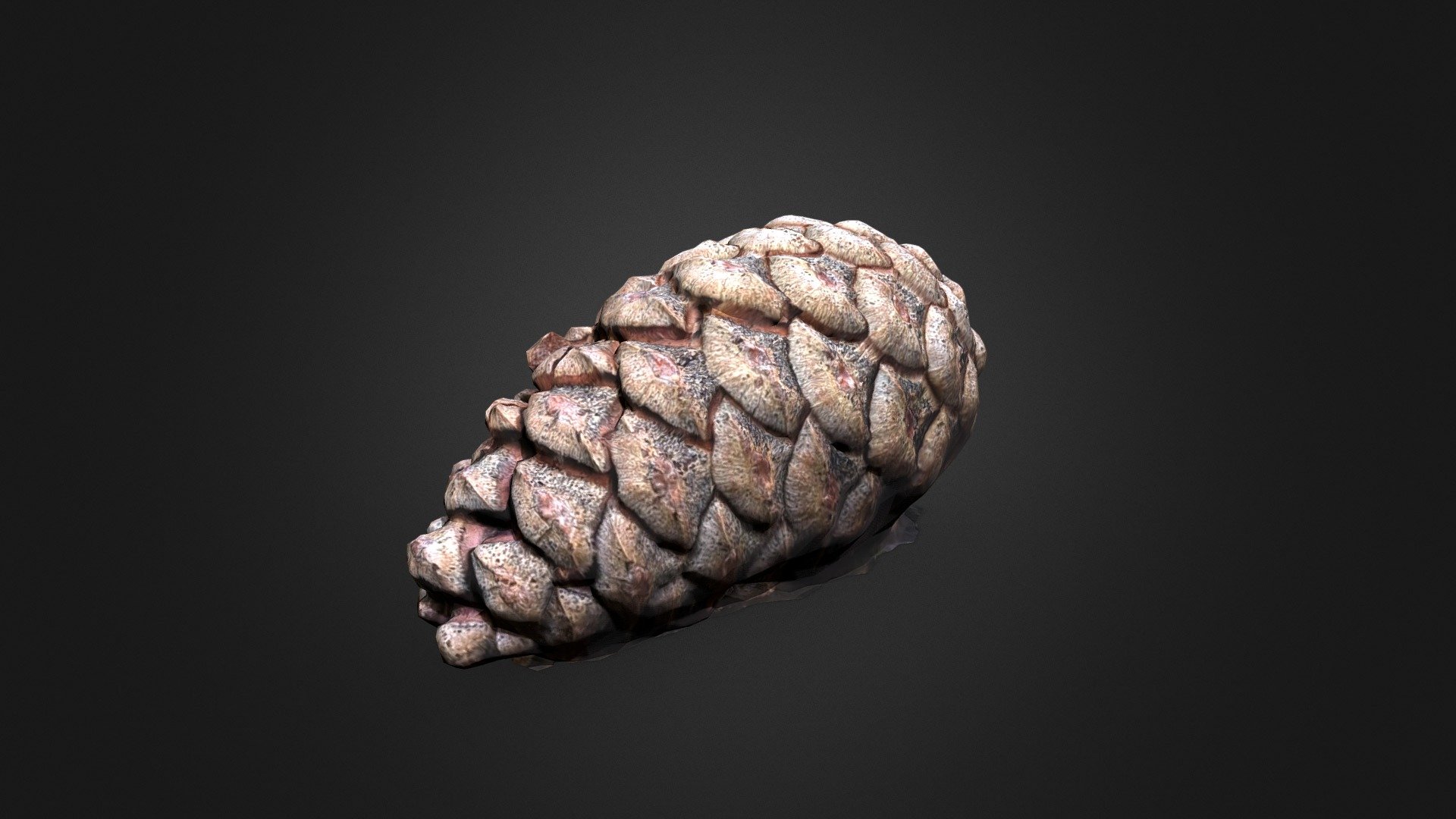 Pine Cone scanned using Polycam at Sherwood Forest, Nottingham.



UAVisionary is a specialist Drone Photography and Videography Company based in the UK Visit ou website to find out more UAVisionary Ltd (www.uavisionary.co.uk)

Thanks for taking a look at our photogrammetry models.

Right, where's my phone - time to scan some more stuff for the metaverse 3d model