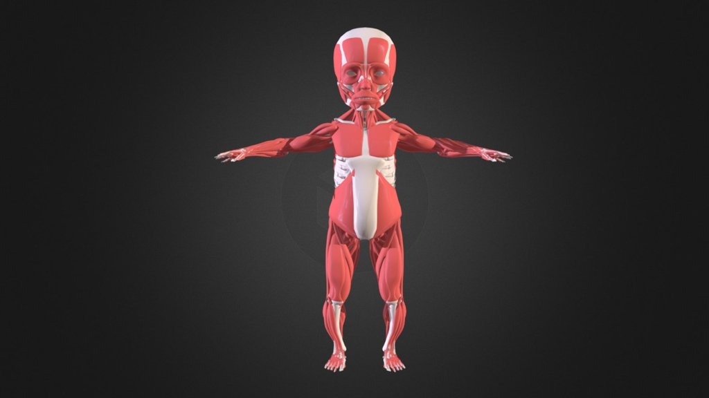 Full Body Baby Underskin - 3D model by the room workshop (@theroomworkshop) 3d model