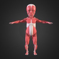 Full Body Baby Underskin baby, commercial, promotional, futuristic
