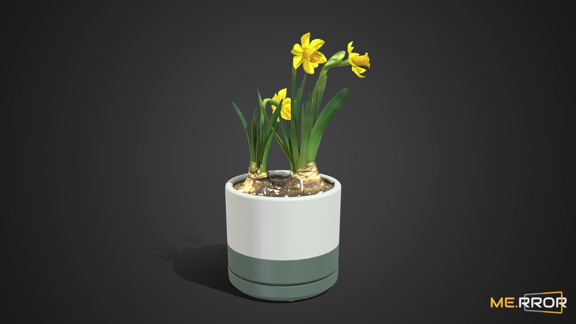 MERROR is a 3D Content PLATFORM which introduces various Asian assets to the 3D world


3DScanning #Photogrametry #ME.RROR - [Game-Ready] Daffodil Pot - Buy Royalty Free 3D model by ME.RROR (@merror) 3d model