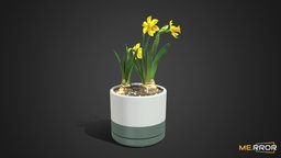 [Game-Ready] Daffodil Pot