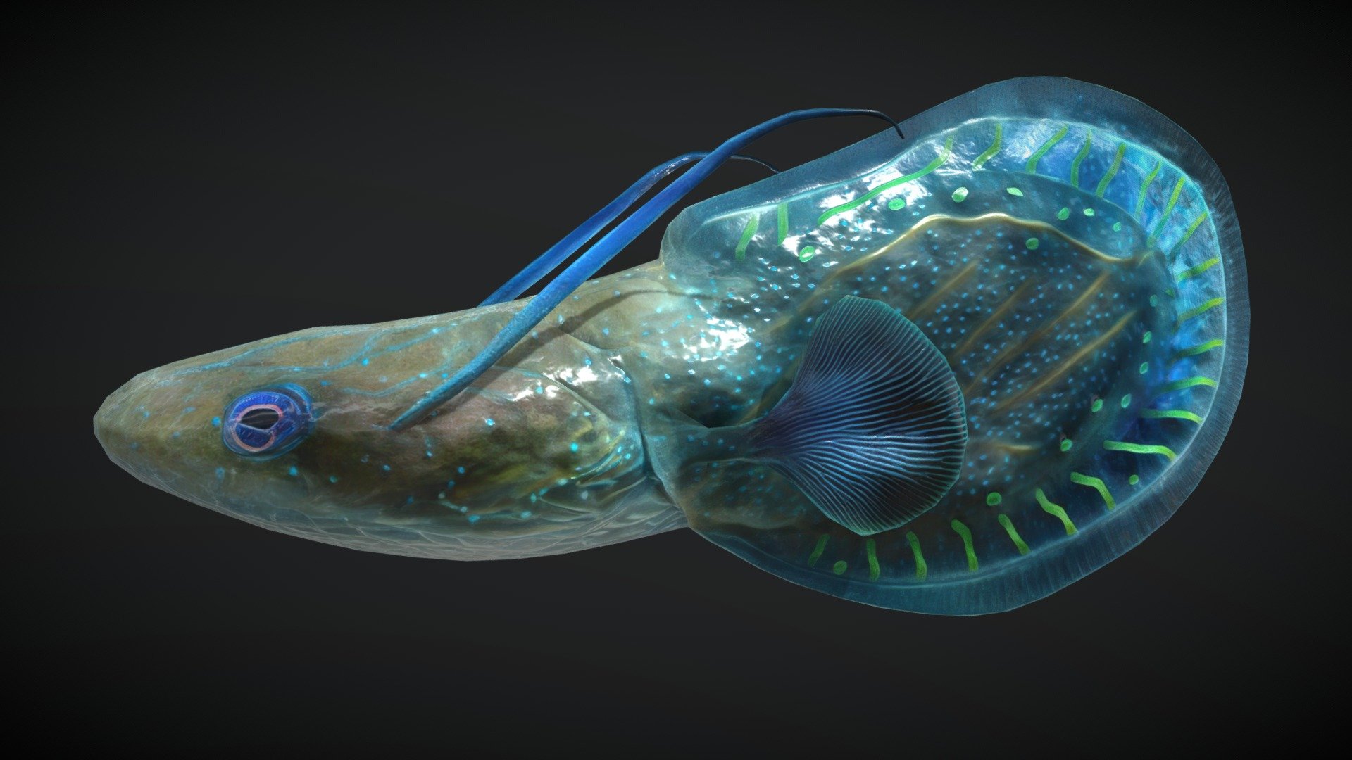 Contains 4096x4096 textures for Diffuse, Normal Map, Opacity and  Eye Mask - Alien Fantasy Fish - HydroSpark Tadpole - Buy Royalty Free 3D model by Davis3D 3d model