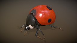Animalia insect, ladybug, gim, animalia, animal, animated