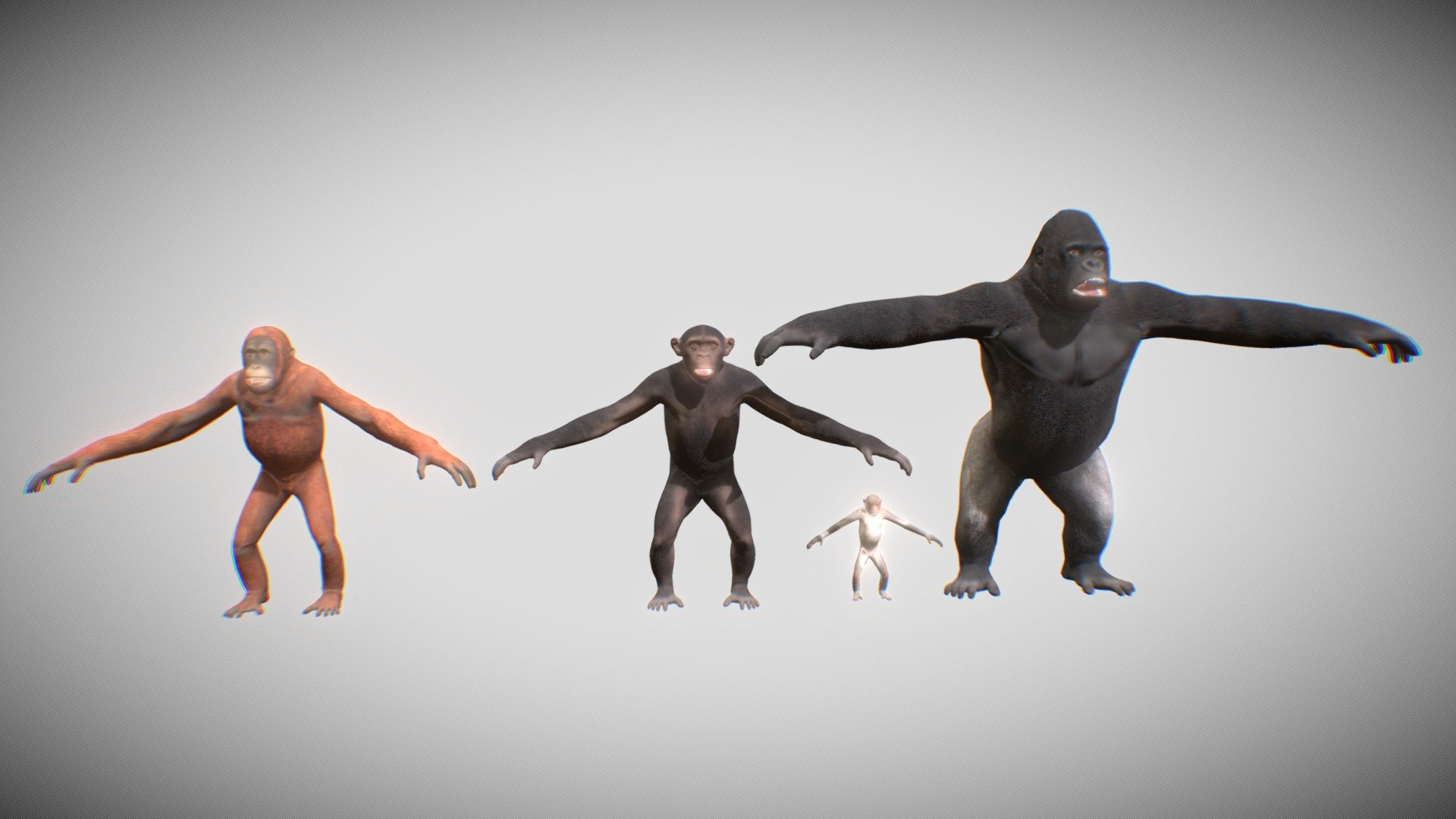 4 Monkeys + Rigged
Monkey
Chimpanzee
Orangutan
Gorilla
+PBR textures 4096x4096 - Monkeys - Buy Royalty Free 3D model by Mixall (@Mixaills) 3d model