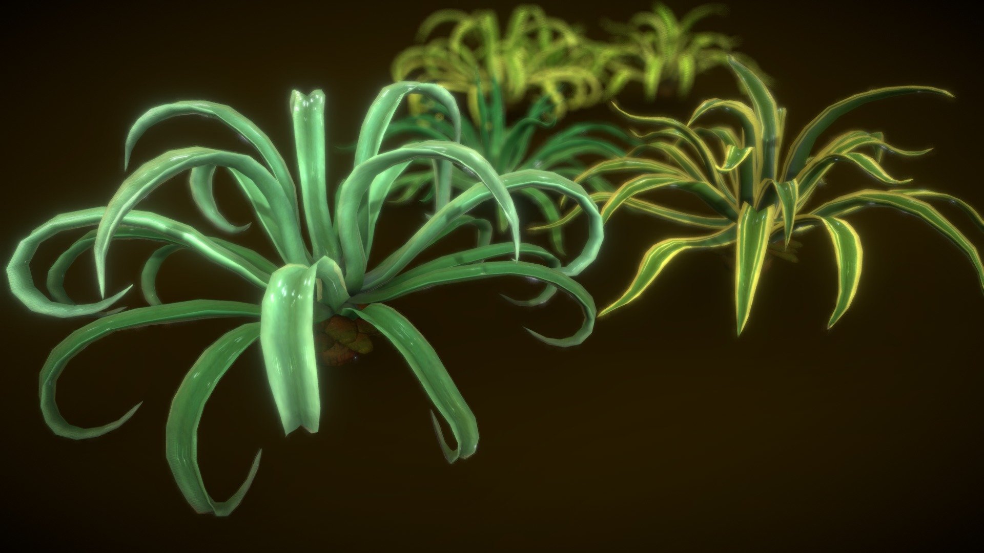 This is model 3D lowpolys :
-Tree Octopus Agave : 11612 polys/ 22570Tris/ 11839Verts
- Texture size : 1024/1024
Prized for its graceful foliage, the Octopus Agave is an evergreen succulent perennial that can grow to heights of 3-4 ft tall. The Octopus Agave is native to Cliffs in Southern Mexico, and the leaves contain high concentrations of Smilagenen, often used to make a brush with built in soap. It can most commonly be found in ornamental gardens in warm climates 3d model
