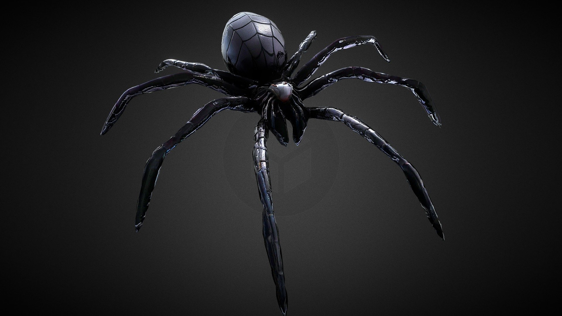 Spider Low Poly Rigged - Spider Low Poly Rigged - Buy Royalty Free 3D model by whintersnow 3d model