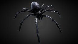 Spider Low Poly Rigged spider, caterpillar, rig, spiders, rigged-character, blackspiderman, low-poly, texture, pbr, lowpoly, black, rigged, spidermannowayhome, caterpillars