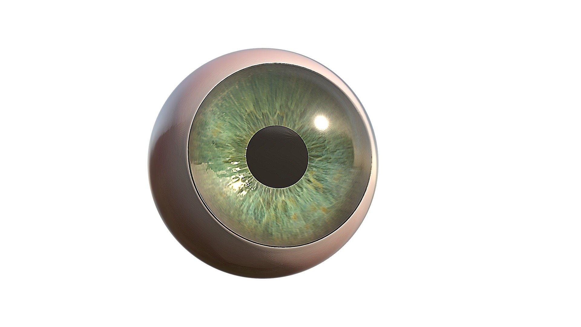 Made with Zbrush - Cartoon eye - 3D model by Loulipop 3d model