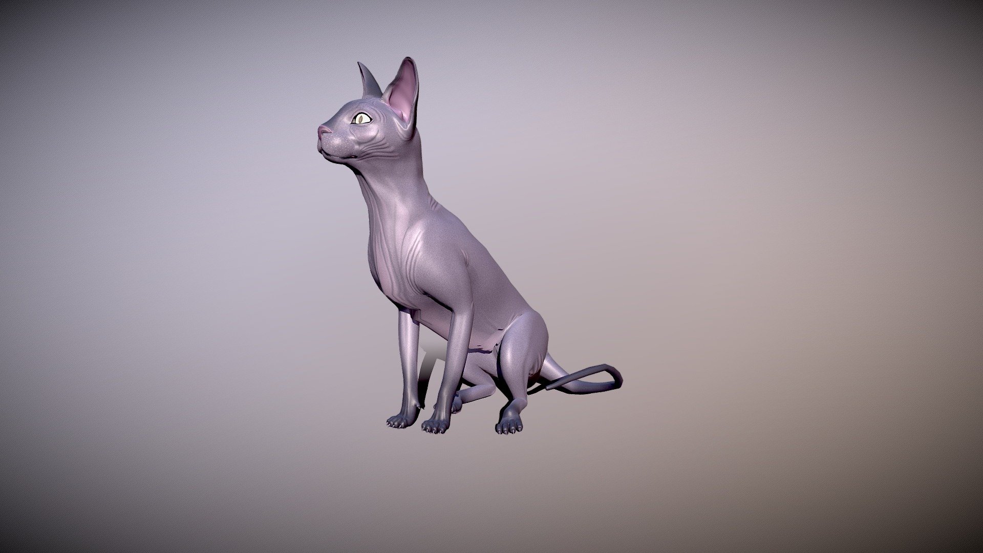 3d model
made in Blender 3.21
rigged and animated
the fbx files does not work properly like blend file,because of the constraints in metarig in Blender - sphynx cat - Buy Royalty Free 3D model by pinotoon 3d model