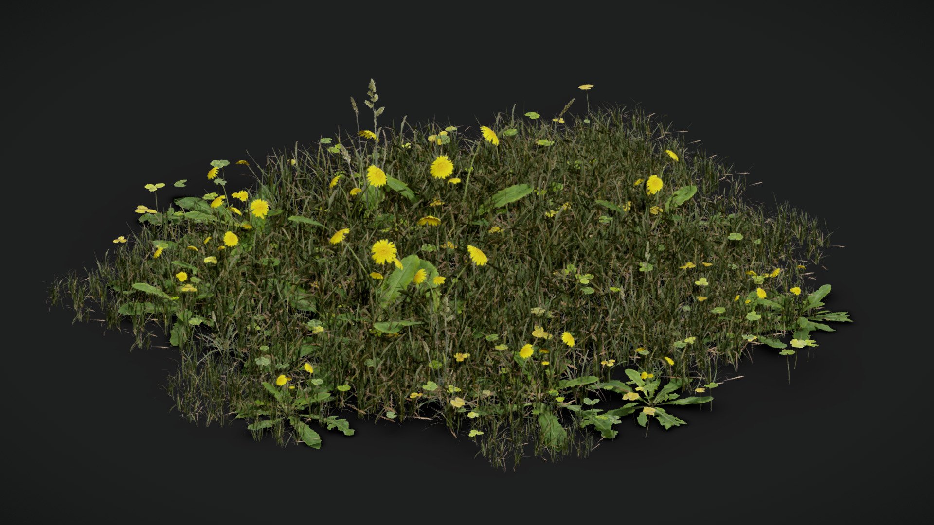 **Grass Vegitation Mix **




IN FBX FILE FORMAT ( version 7.5 (2016)

You can use this  **Grass Vegitation Mix **  model.
easily in ur advertising or visualisation projects..





My Email : ubros27@gmail.com




Please don't forget to Like, Follow &amp; Share :)


 - Grass Vegitation Mix - Download Free 3D model by UJJWAL CHAUHAN (@Ujjwal-Chauhan) 3d model