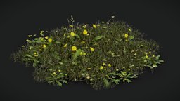 Grass Vegitation Mix green, plant, grass, land, flower, vegetation, foliage, nature, weeds