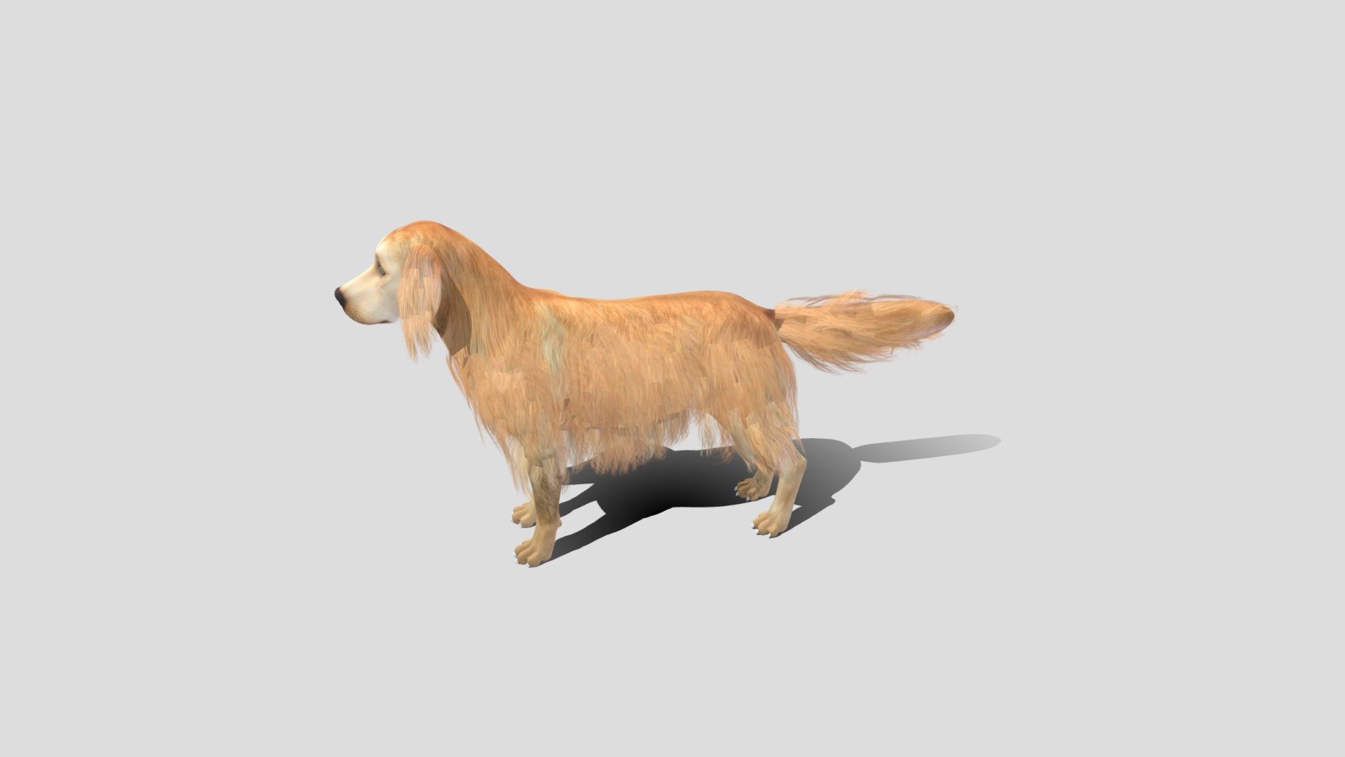 German_Shepherd - 3D model by spiddymax 3d model