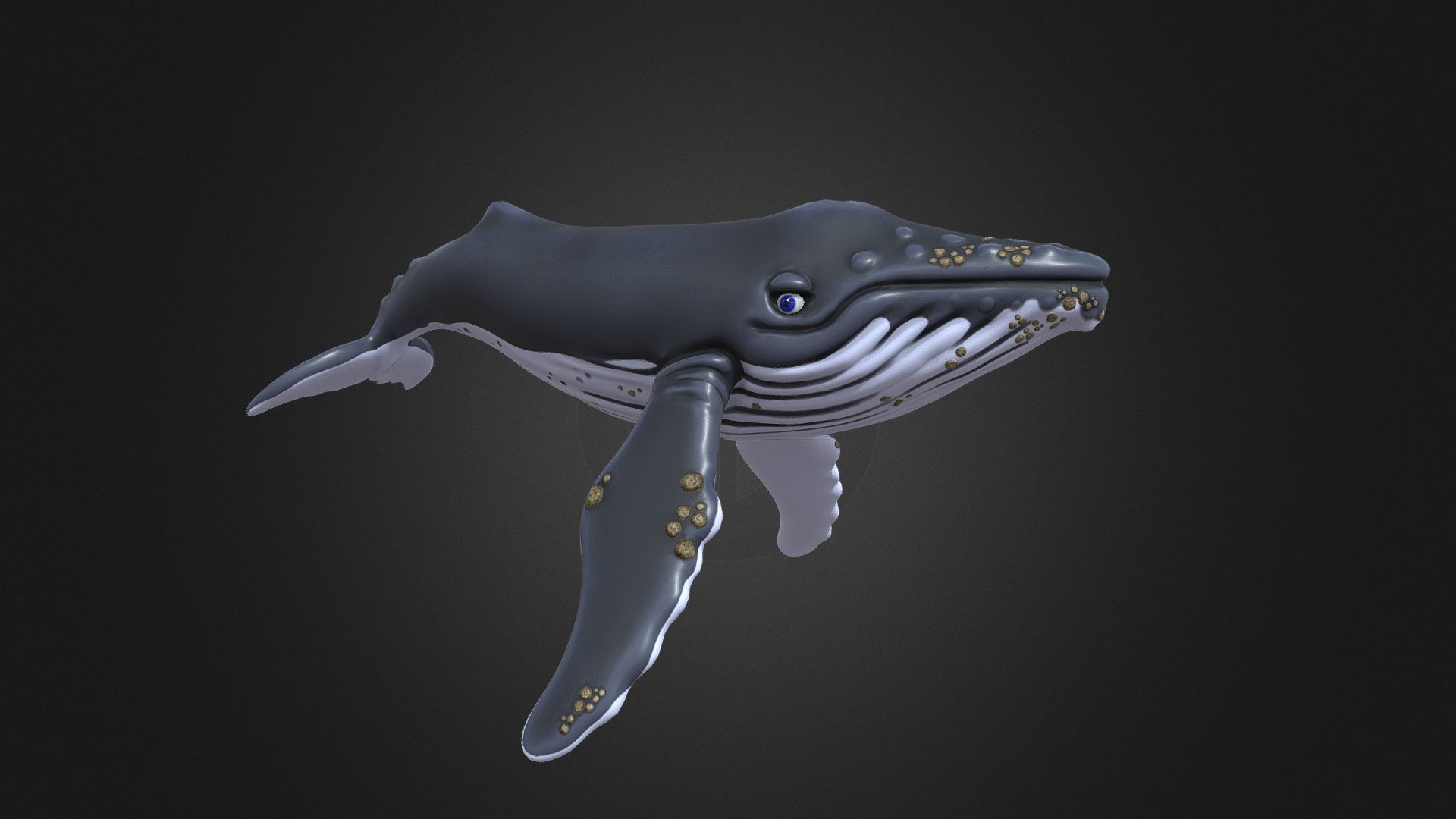 A stylised Humpback Whale. I sculpted this in ZBrush and textured it in 3DCoat. Textures are 4K 3d model