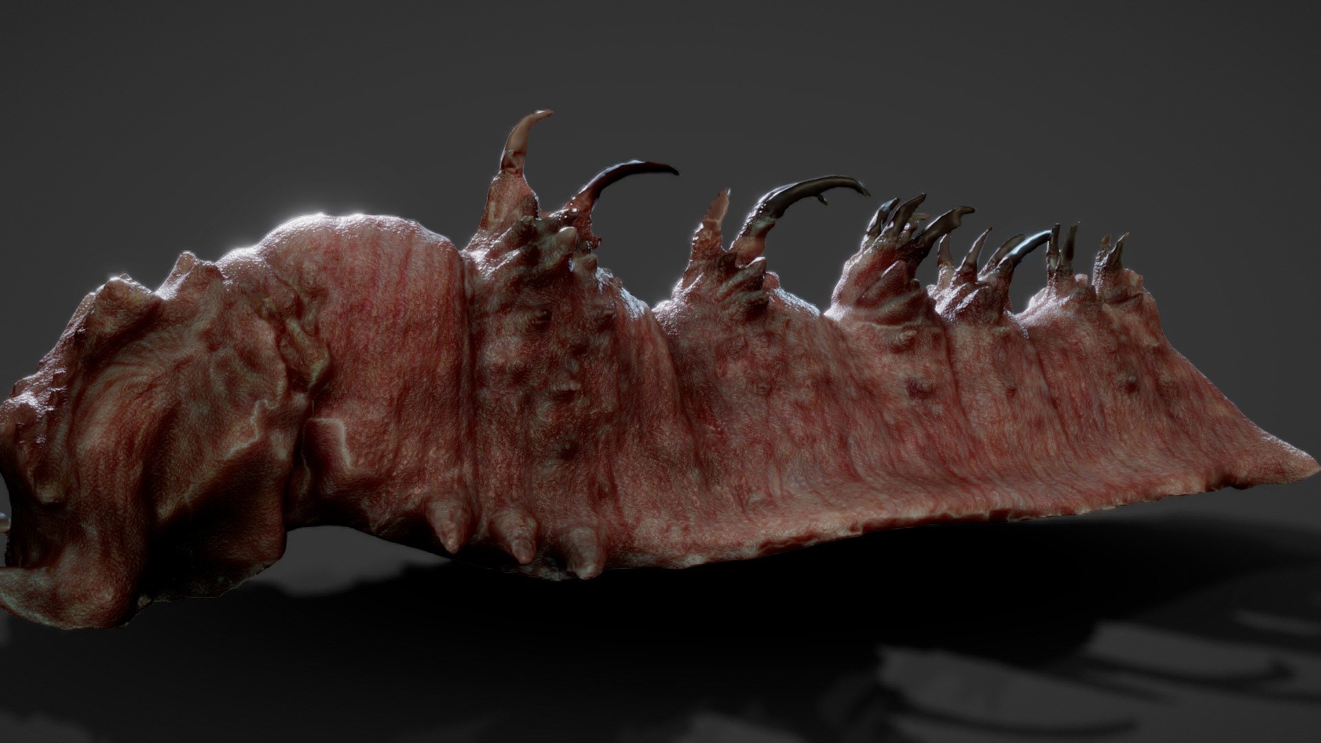 First upload ;) Made this sucker for a music video I recently worked on

baby in action: vimeo.com/362464522

3d scanned, then cleaned and textured in Blender. &lt;3333 - Alien Worm <3 - Buy Royalty Free 3D model by Ryan Game (@ryangamevfx) 3d model