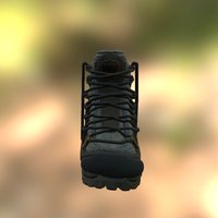 Hiking Boot 