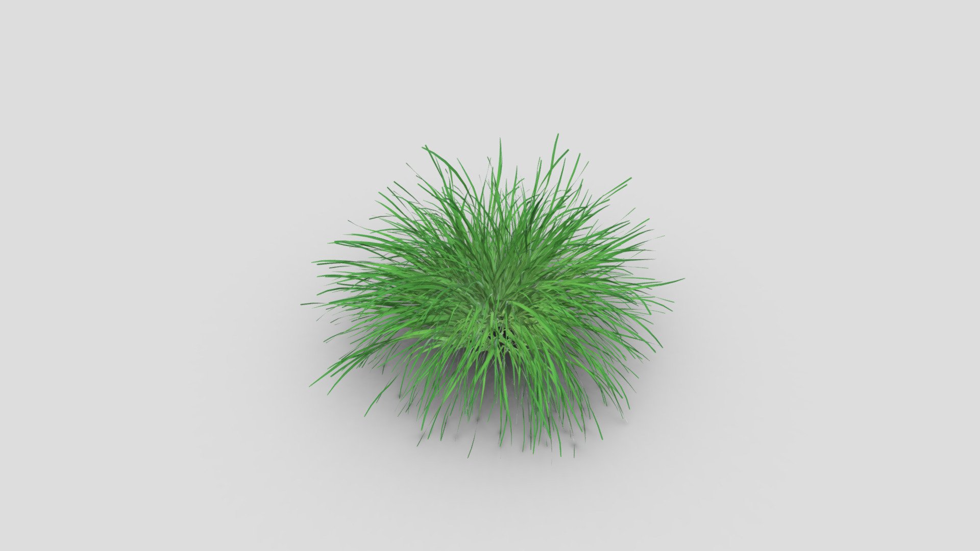 Grass Shrub - Grass Shrub - Buy Royalty Free 3D model by misitewang 3d model