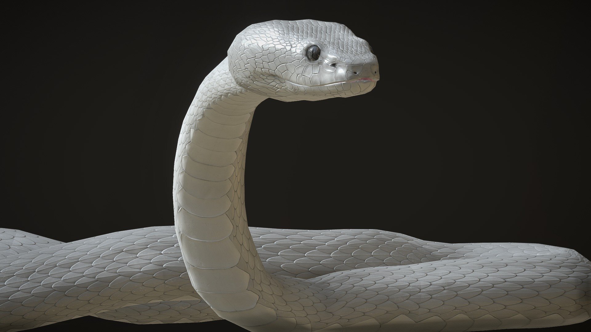 Snake asset with 7 animations for your game project!

Included files:





6 color variations




Unity/Unreal: Channel packed textures with tutorial on material setup in each engine




7 Animations (Idle1, Idle2, Crawl1, Craw2, Attack, Hanging, Dead .fbx)




Original Maya Rig file to make your own animations




Original ZBrush file (.ZTL)





SKETCHFAB BUG: There is a known issue affecting some models with animation during vertex compression. Because of this, the eyes and teeth of the snake are displayed warped when looking at them from the side. This isn't an skinning error. It looks fine in game engines and 3D software.



ArtStation - White Viper with animations - Buy Royalty Free 3D model by Bugawuga 3d model
