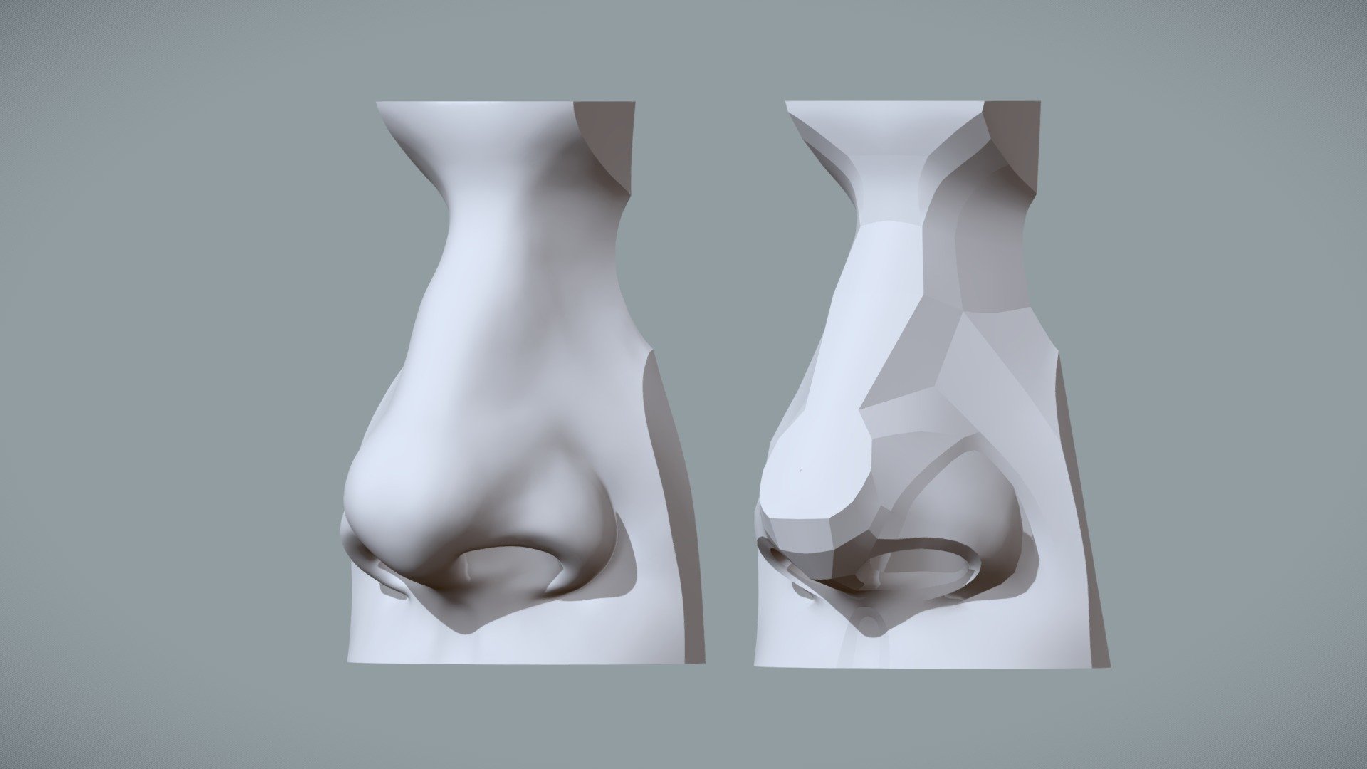 Nose Study With Planes - Shapes & Planes of the Nose - Buy Royalty Free 3D model by Shape Foundations (@VAA) 3d model