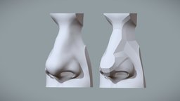 Shapes & Planes of the Nose drawing, sculpting, planes, nose