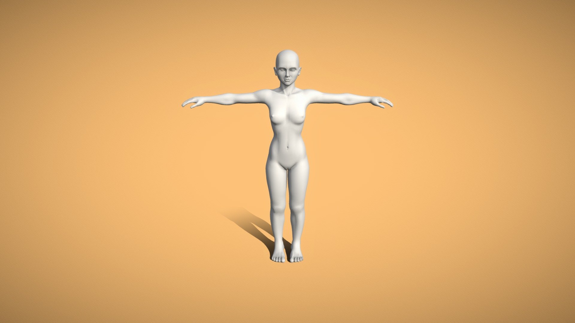 This is a cute, stylized woman base mesh for those that favor hips and butt over large breasts. Mesh consists of mostly polygons (though a few triangles were used when necessary) and it is ready to be rigged and animated. 

Key features:




Topology is animation ready

Poly count before subdived is 47k

Eyes modeled with a gloss mesh and an iris mesh that is ready for textures.

Eyelash geometry is ready for textures

Eyebrow geometry is ready for textures

Teeth and gums modeled

Mouth bag modeled
 - Base Mesh for Animation - Stylized Woman - Buy Royalty Free 3D model by EH3D 3d model