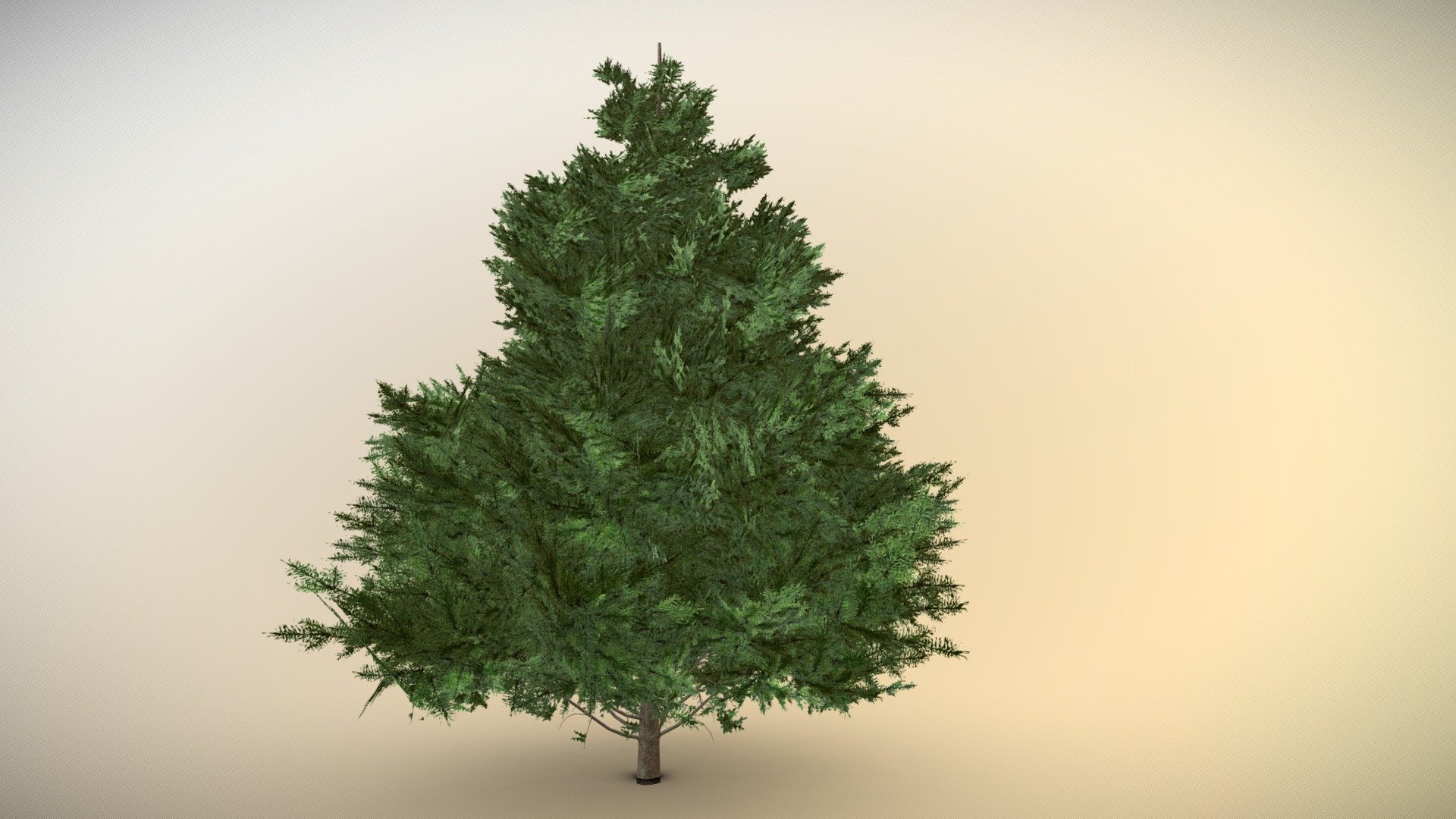 Simple Pine
GLB file attached Spatial ready - as an additional file 3d model