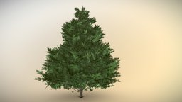 Simple Pine tree, green, plant, pine, good, new, christmas, holiday, fresh, newyear, pinetree, low-poly, 3d, texture, model, sketchfab, download, simple