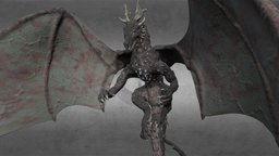 European Dragon feedback, game-ready, free-download, rigged_model, creature-monster, rigged-character, animated-character, animated-rigged, rigged-and-animation, creature, free, animated, dragon, rigged, gameready, feedback-welcome, dragon-type, europeandragon