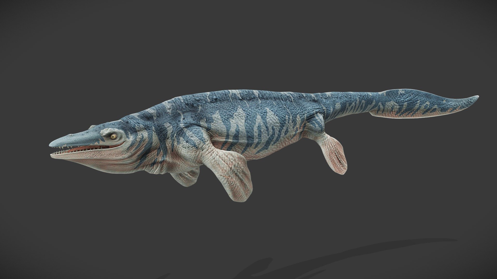 A Mosasaurus Hoffmannii, a marine creature of the cretaceous era, I've made with Blender and Gimp.

– For more dinosaurs, don't hesitate to take a look at my Prehistoric Animals collection and subscribe to it to stay tuned of new creatures. – - Mosasaurus Hoffmannii - Buy Royalty Free 3D model by Kyan0s 3d model