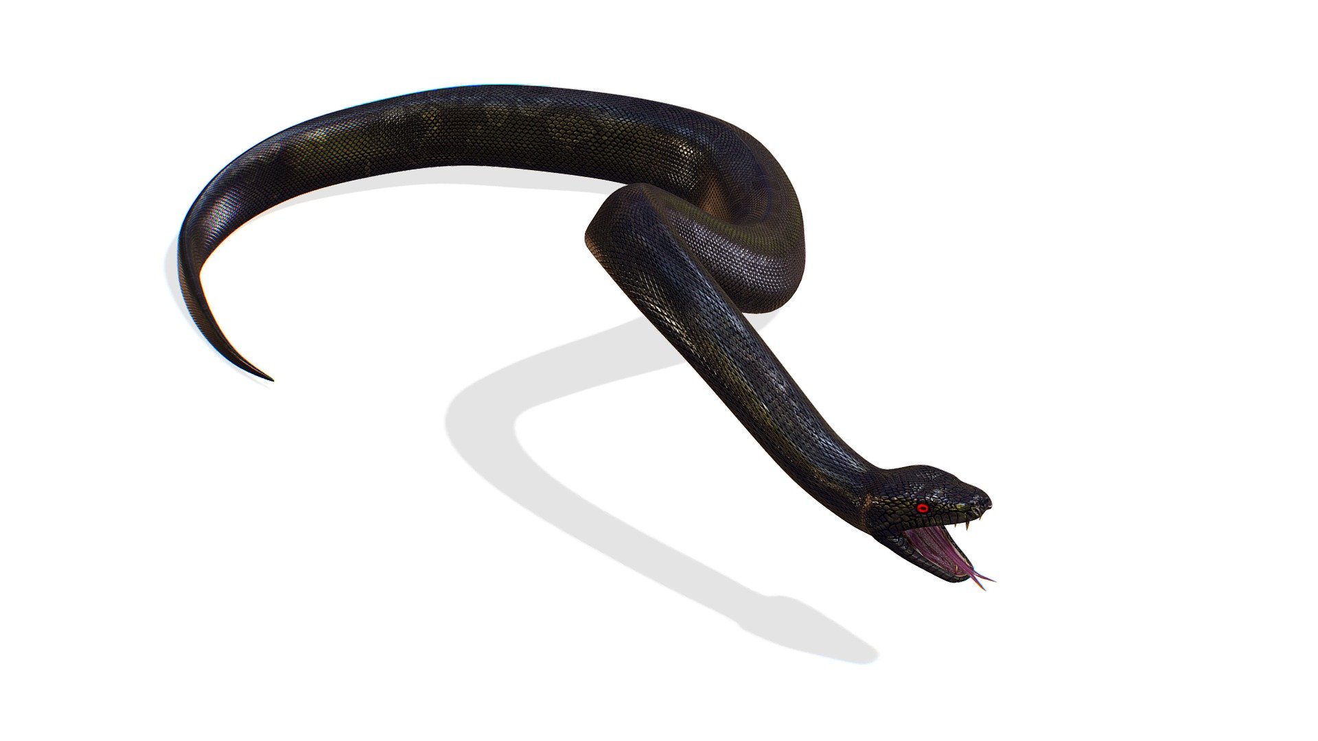 Skined/Rig LowPoly Realistic Black Python Snake, 1024x1024 texture size (normal,diffuse,specular) 3dsMax file included - Skined LowPoly Realistic Black Python Snake - Buy Royalty Free 3D model by Oleg Shuldiakov (@olegshuldiakov) 3d model