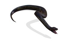 Skined LowPoly Realistic Black Python Snake tile, lizard, viper, venom, ornament, cobra, snake, predator, python, pattern, african, creeper, scales, reptile, fangs, game-ready, hose, ornamental, reptiles, gigantic, low-poly-model, lowpolymodel, gigant, tileabletexture, aspid, weapon, character, low, model, gameasset, creature, animal, monster, fantasy, polygon, black, gameready, ealistic