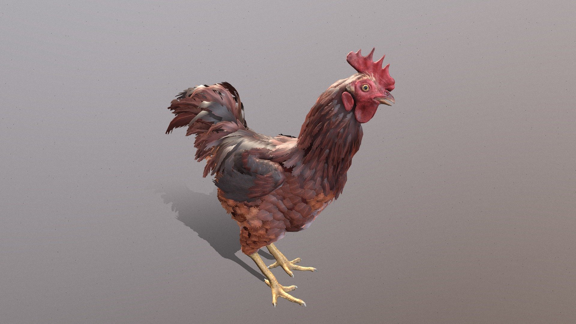 Animated Chicken 
in fbx file format - Chicken Animated - Buy Royalty Free 3D model by aaokiji 3d model