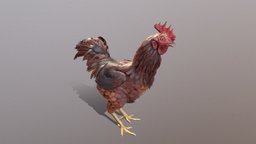 Chicken Animated bird, pet, chicken, barn, eat, farm, pets, cock, agriculture, hen, animal