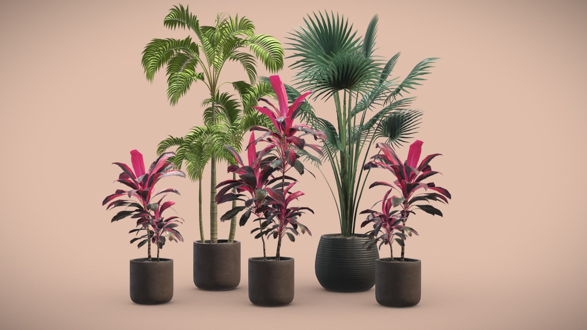 Indoor Plants Pack 12

This selection of indoor exotic plants will provide a nice touch to your interior renders. I kept the polycount relatively low but you can also subdivide the model if you need more definition. 




Palm Trees

Serenoa Repens

Cordyline Fructicosa

4k Textures




Vertices  128 441 

Polygons  97 865

Triangles 189 854
 - Indoor Plants Pack 12 - Buy Royalty Free 3D model by AllQuad 3d model