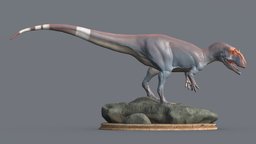 Saurophaganax maximus for 3D printing dinosaurs, jurassic, theropod, allosaurus, mesozoic