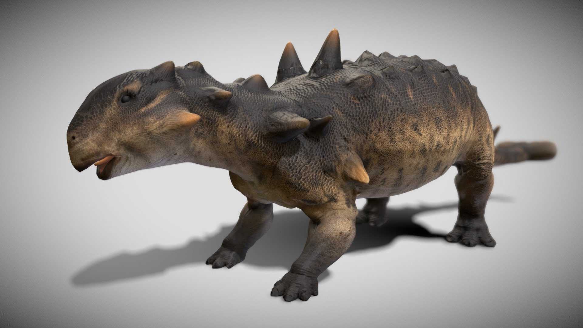 Euoplocephalus, a herbivorous dinosaur from the Late Cretaceous period, marches into the prehistoric scene as a heavily armored ankylosaurid. This dinosaur, known for its tank-like appearance, was equipped with an impressive array of bony plates and spikes, providing it with formidable protection against predators.

Characterized by a low-slung body, a broad tail club, and a covering of bony armor called osteoderms, Euoplocephalus was a quadrupedal herbivore. Its tail club, in particular, was a defensive weapon, possibly used to fend off predators or intruders.

Step into the Late Cretaceous world with Euoplocephalus, a living fortress that roamed the ancient landscapes. Explore the mysteries of this ankylosaurid dinosaur with - Euoplocephalus - Buy Royalty Free 3D model by robertfabiani 3d model