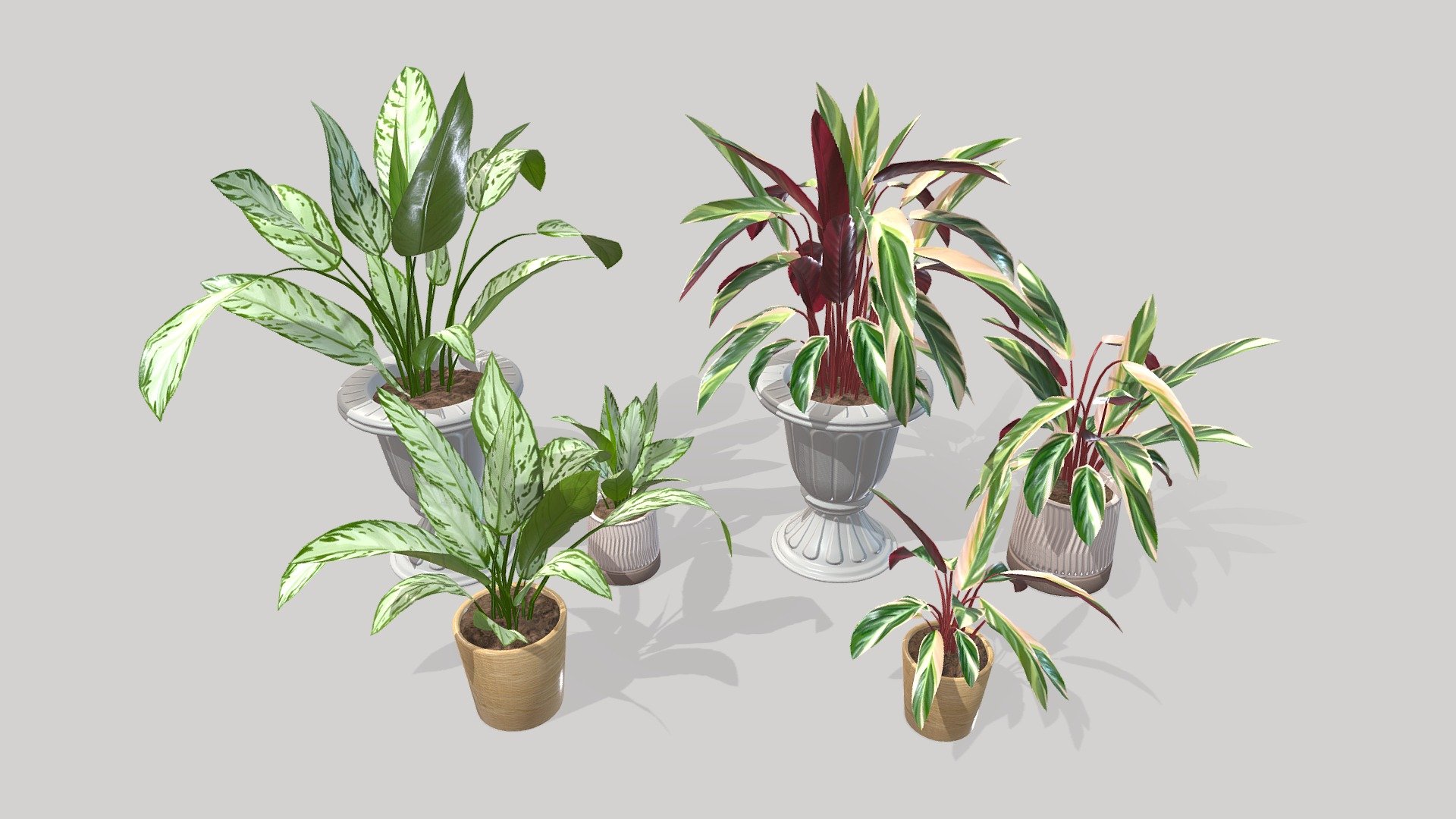 Handpainted indoor plants made for House Flipper 2 https://store.steampowered.com/app/1190970/House_Flipper_2/

Done in Blender, Substance Painter and Substance Designer. 
Pots created by my friend, Aleksander Pantopulos - Indoor Plants - Game Assets - 3D model by Persefona 3d model