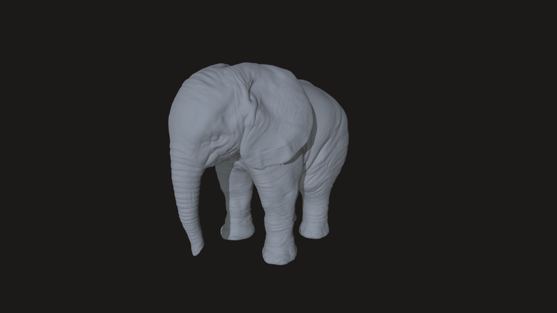 If you want to buy this cute baby elephant contact me at cyrielchd@gmail.com 
Price : 40$ - Elephant - 3D model by cyriel (@cyrielc) 3d model
