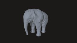 Elephant elephant, animals, modele3d, zbrushmodel, modele, zbrush-sculpt, elephants, zbrush, animal