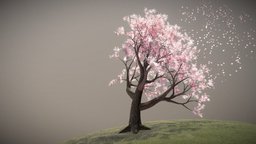 Cherry Blossom Tree Collection