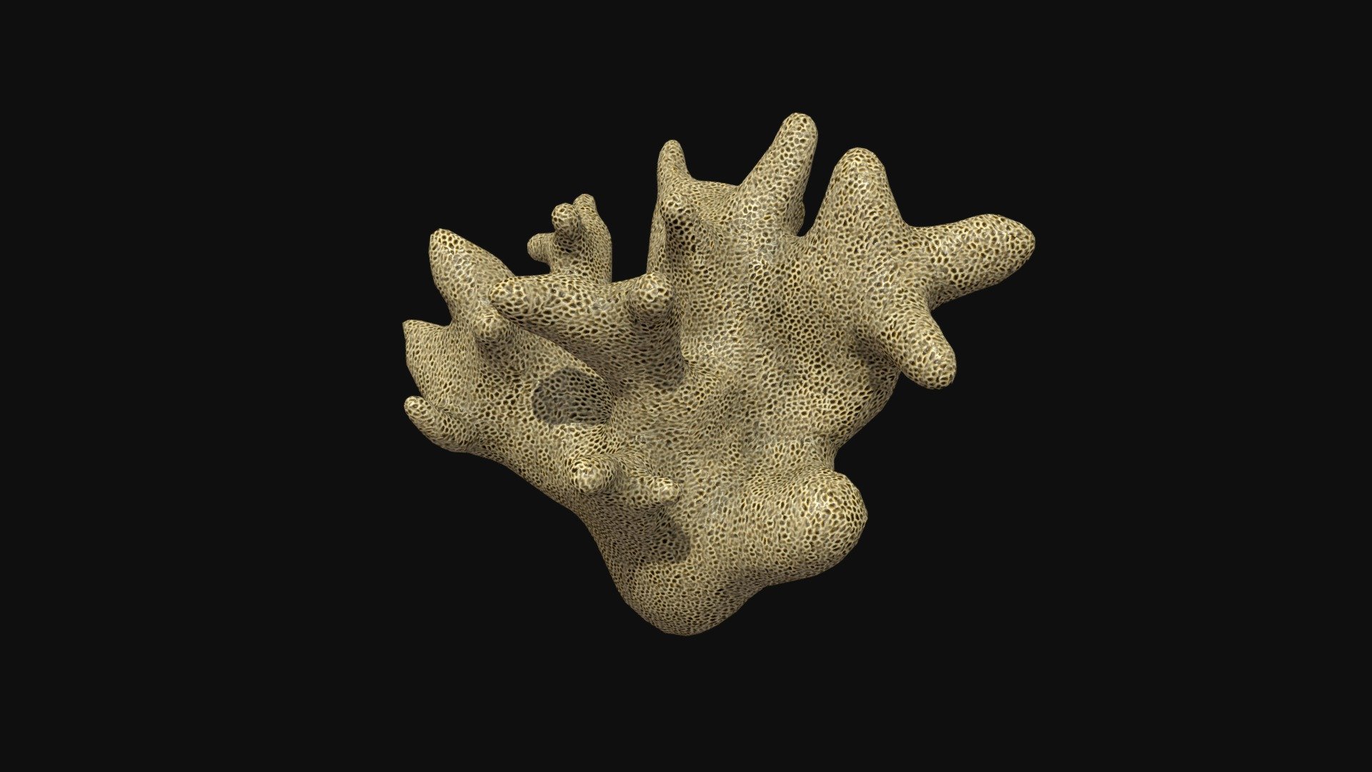 3D lowpoly model of a sea coral.

This model is part of a Coral pack 3d model